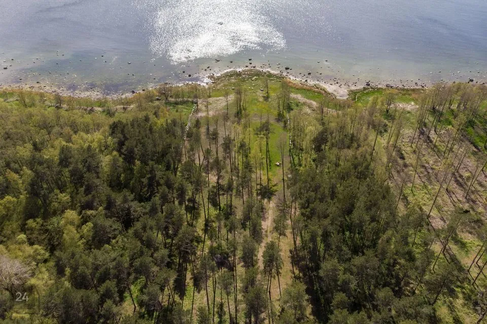 Земля жилой застройки, 20195 m² участок в Jõelähtme vald, Neeme küla - фото 5