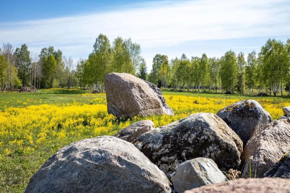 Maatulundusmaa, 29307 m² участок в Rae vald, Suursoo küla