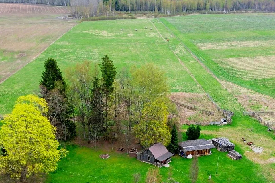 Maatulundusmaa, 64772 m² Maa  -  Räpina vald, Meelva küla - foto 2