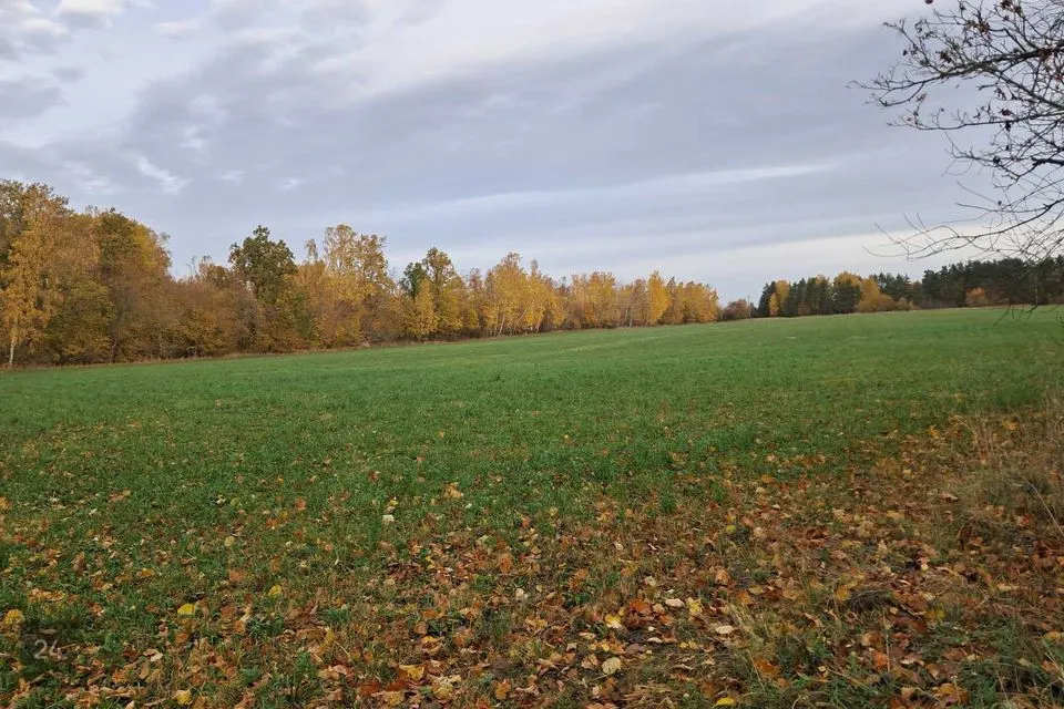 Maatulundusmaa, 25000 m² Maa - Saaremaa vald, Leisi küla - foto 3