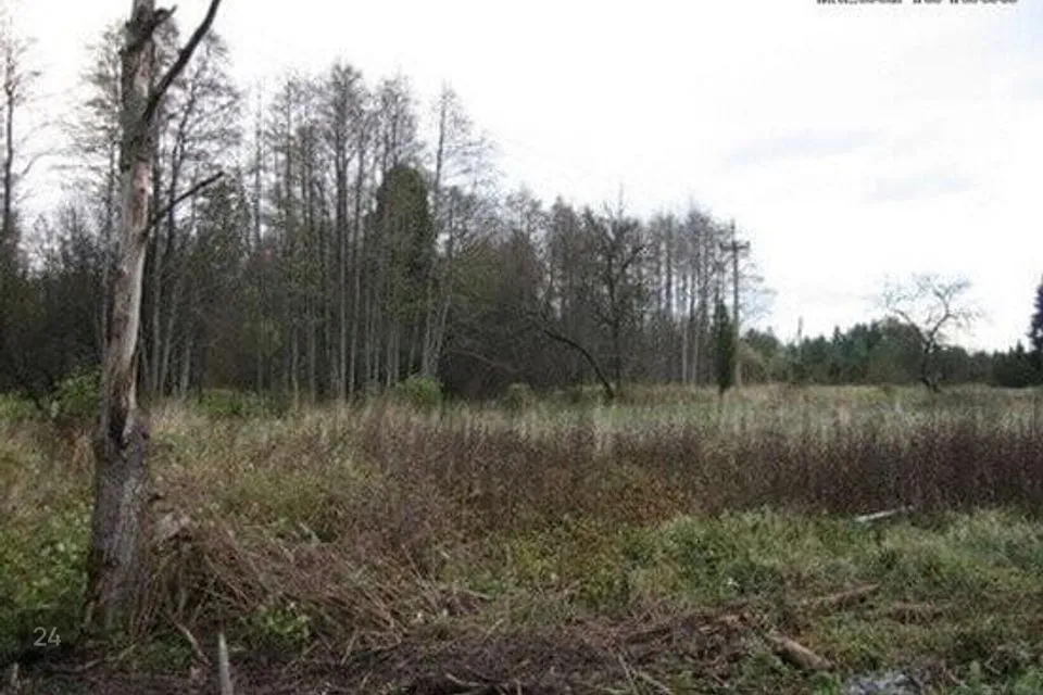 Elamumaa, 7588 m² Maa  -  Hiiumaa vald, Luguse küla - foto 4