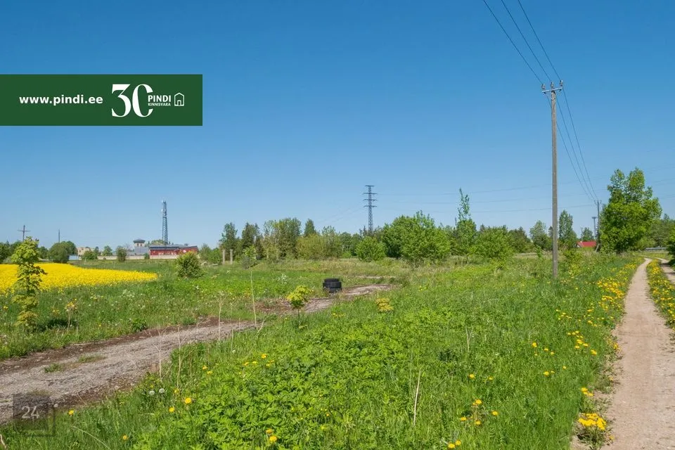 Tootmismaa, 17477 m² Maa  -  Jõhvi vald, Pauliku küla - foto 5