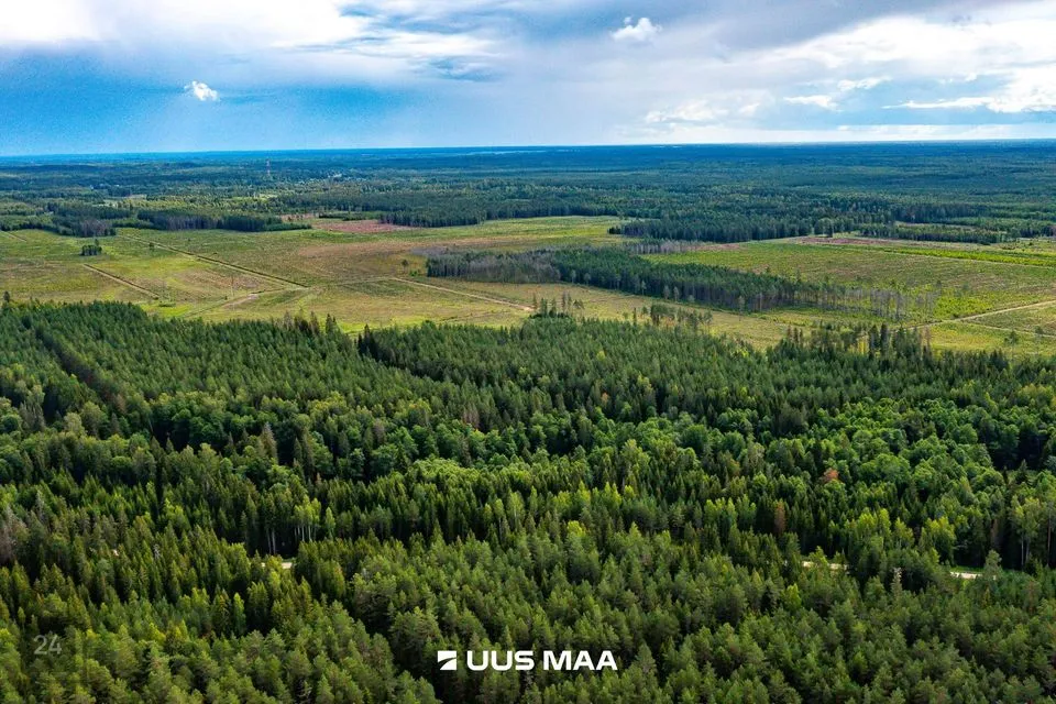 Maatulundusmaa, 23700 m² участок в Anija vald, Pillapalu küla - фото 3