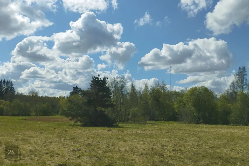 Maatulundusmaa, 6951 m² Maa - Türi vald, Kolu küla - foto 4