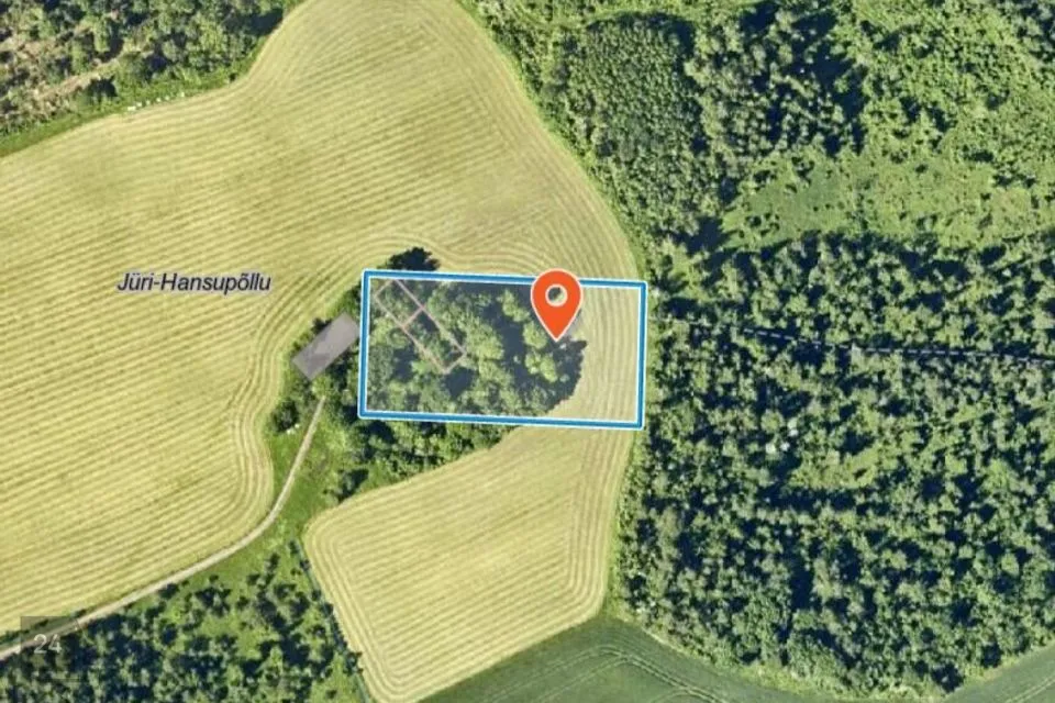 Sihtotstarbeta maa, 4922 m² Maa  -  Rapla vald, Metsküla - foto 3