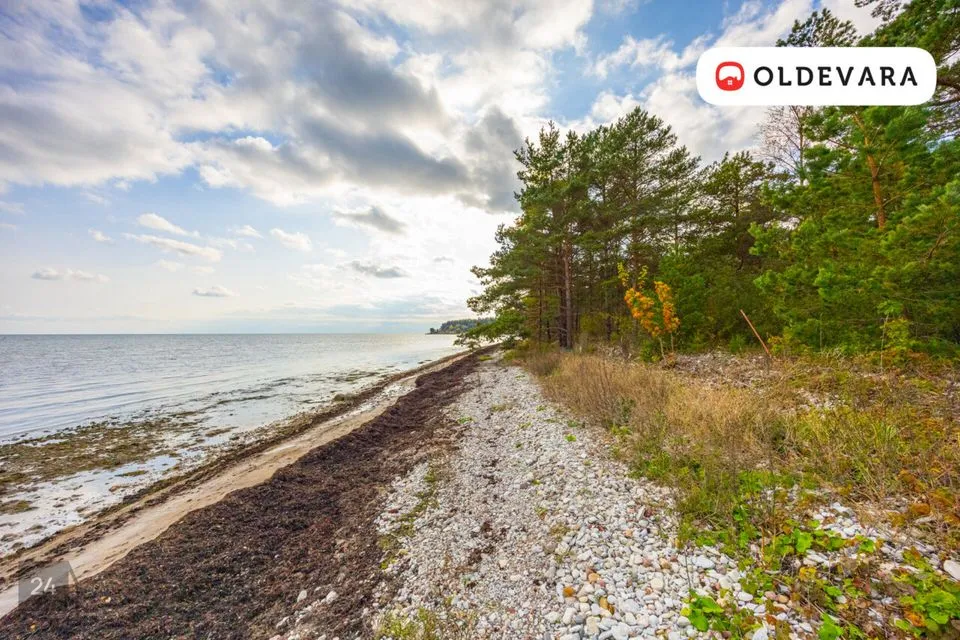 Elamumaa, 5505 m² Maa - Saaremaa vald, Mõntu küla - foto 5