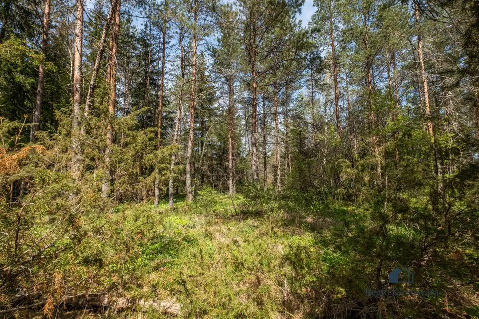 Maatulundusmaa, 10113 m² участок в Lääne-Harju vald, Maeru küla - фото 5