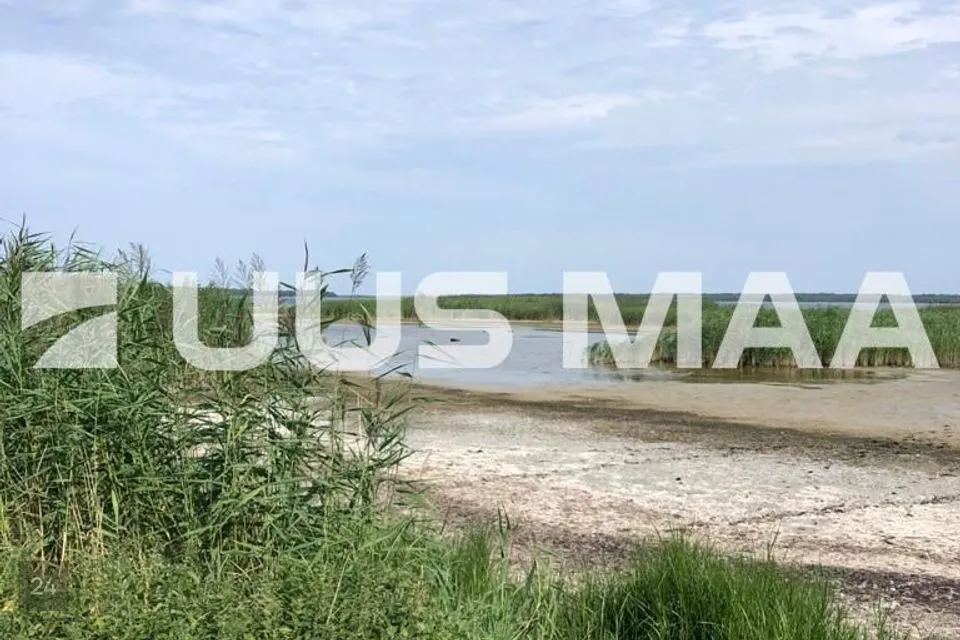 Maatulundusmaa, 52300 m² участок в Vormsi vald, Borrby küla