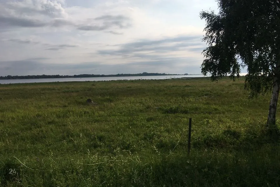 Elamumaa, 17508 m² Maa - Lääne-Nigula vald, Riguldi küla / Rickul
