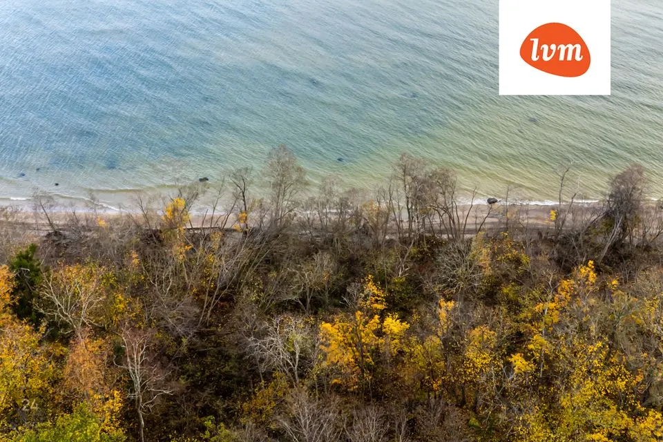 Ärimaa, 7366 m² Maa  -  Jõhvi vald, Ontika küla - foto 4