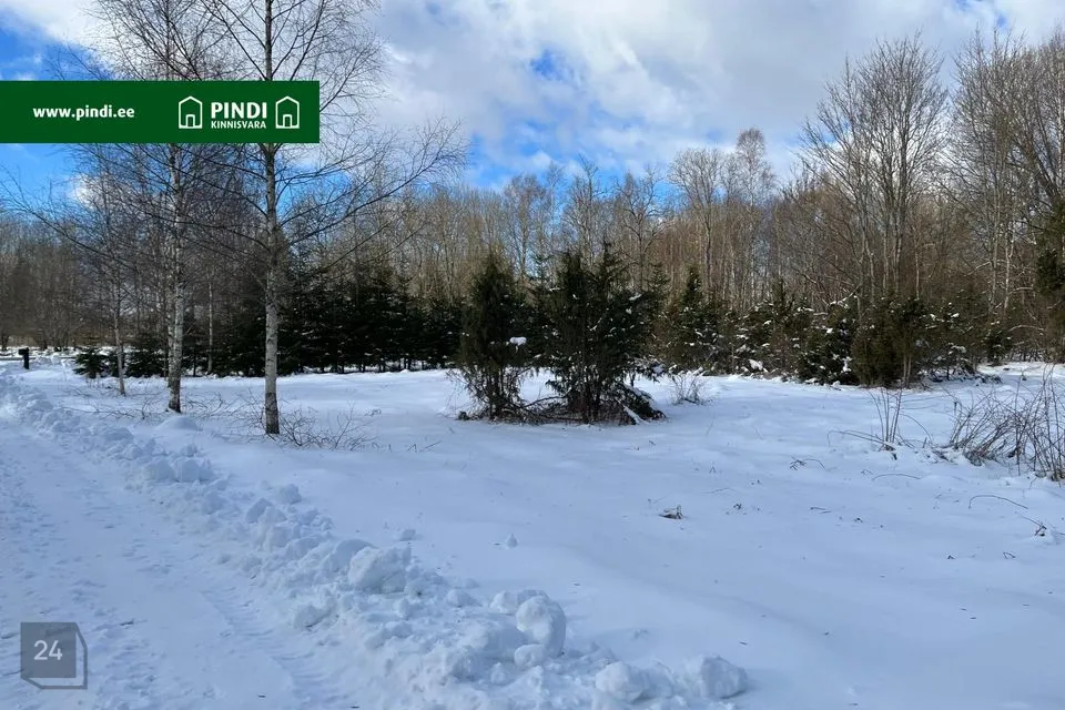 Residential land, 9797 m² land in Saaremaa vald, Saue-Putla küla - photo 2