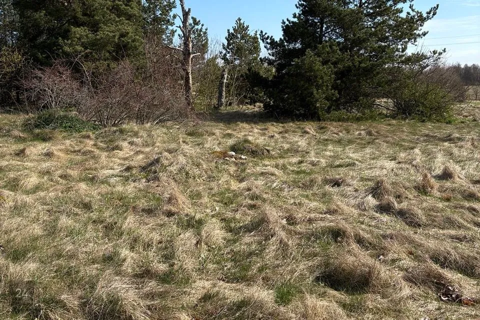 Elamumaa, 10000 m² Maa - Hiiumaa vald, Harju küla - foto 2