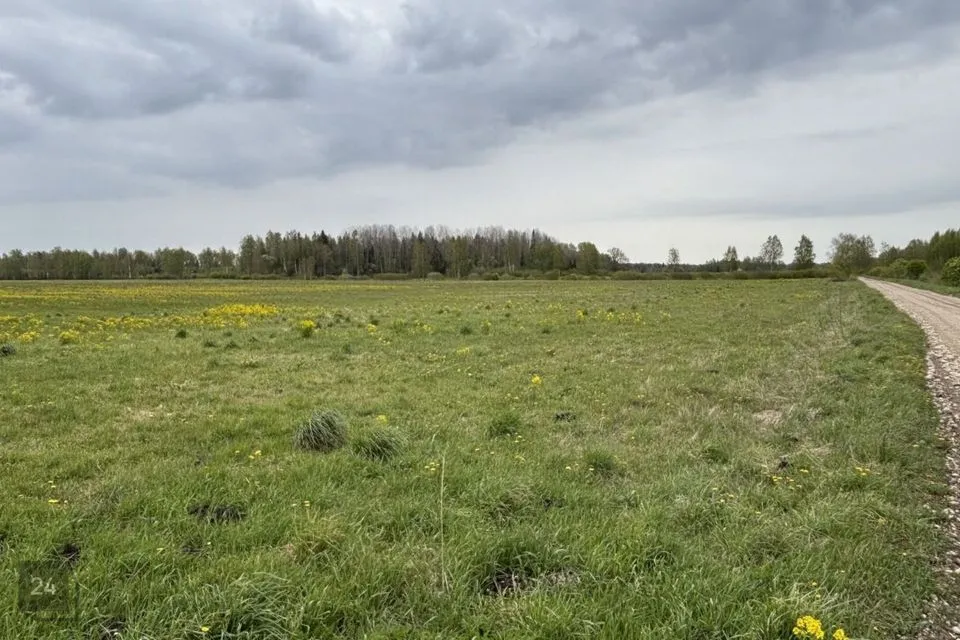 Maatulundusmaa, 115281 m² участок в Rapla vald, Lõiuse küla - фото 4