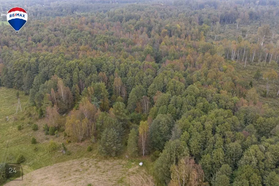 Maatulundusmaa, 16899 m² Maa  -  Hiiumaa vald, Leisu küla - foto 2