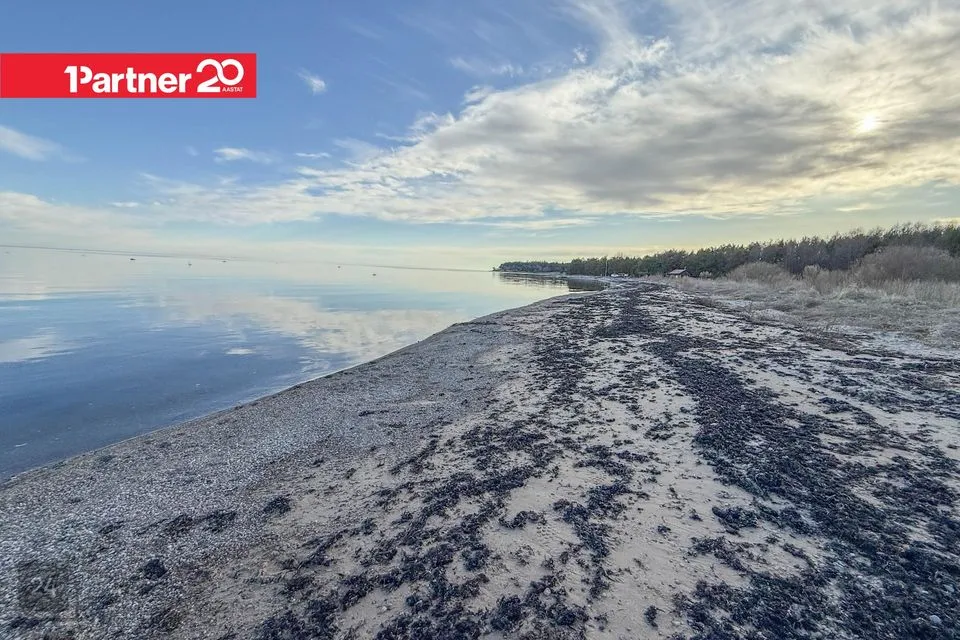 Maatulundusmaa, 18864 m² участок в Saaremaa vald, Mäebe küla - фото 5