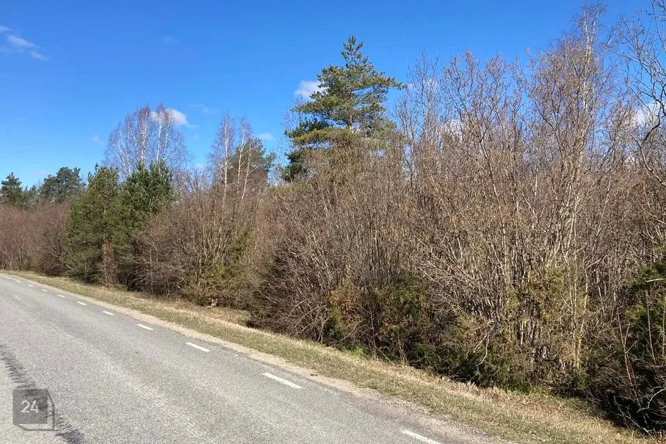 Maatulundusmaa, 22142 m² Maa - Saaremaa vald, Upa küla
