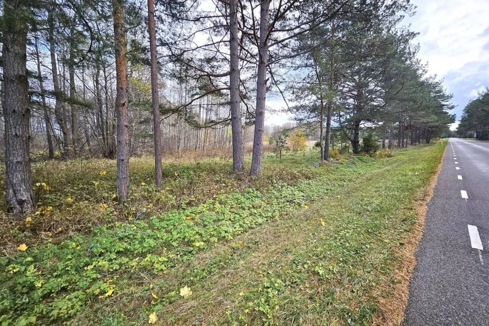 Земля жилой застройки, 17247 m² участок в Lääne-Nigula vald, Elbiku küla / Ölbäck