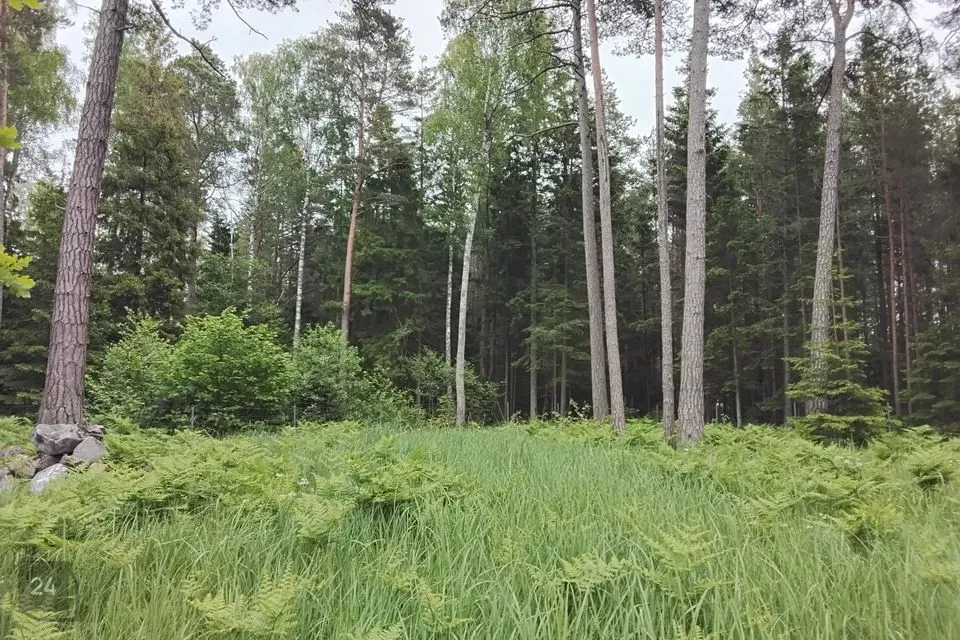 Elamumaa, 5250 m² Maa - Hiiumaa vald, Kalana küla - foto 5