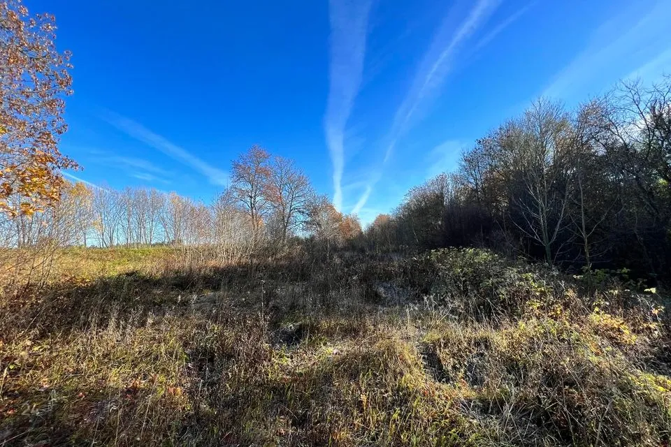 Elamumaa või Ärimaa, 10183 m² Maa - Kuusalu vald, Valkla küla