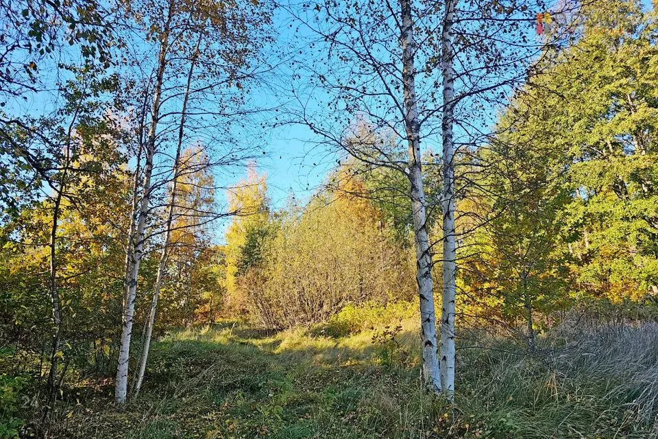 Maatulundusmaa, 9349 m² Maa - Häädemeeste vald, Kabli küla - foto 5