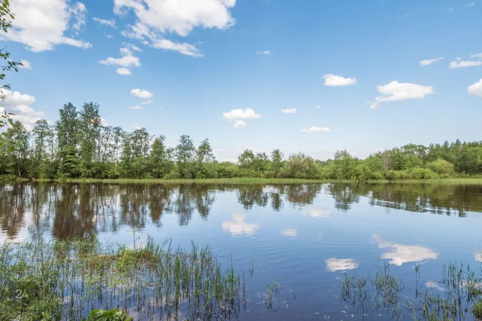 Maatulundusmaa, 15562 m² Maa  -  Tartu linn, Vorbuse küla - foto 5