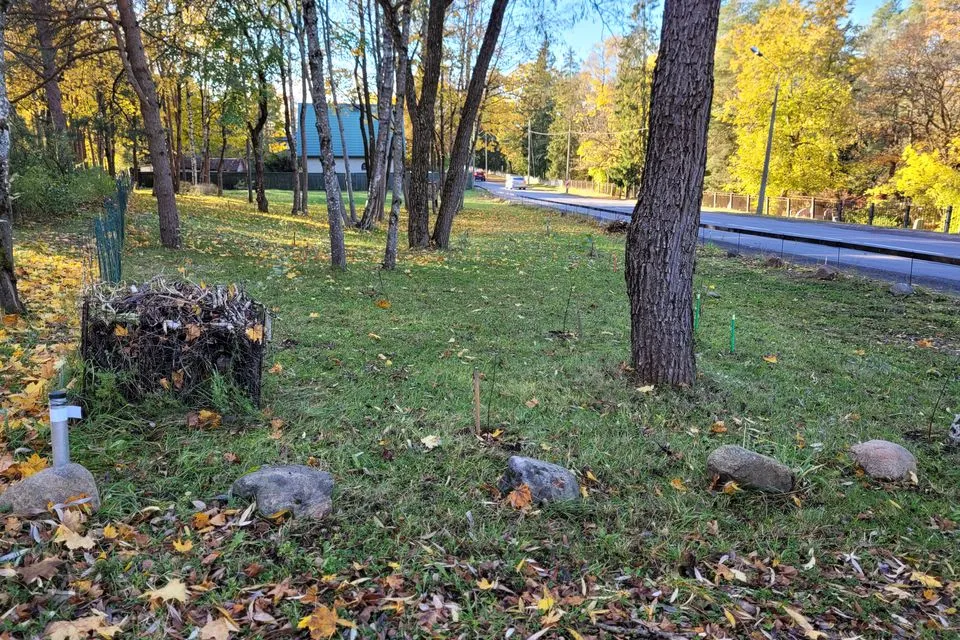 Elamumaa, 1534 m² Maa  -  Tallinn, Nõmme linnaosa - foto 2