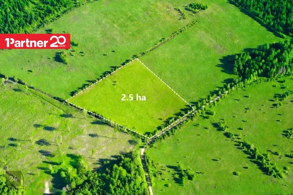 Maatulundusmaa, 25065 m² Maa - Tapa vald, Tõõrakõrve küla