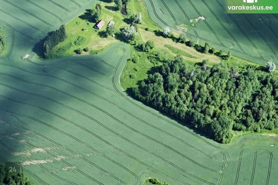 Maatulundusmaa, 83478 m² Maa - Valga vald, Korijärve küla - foto 4