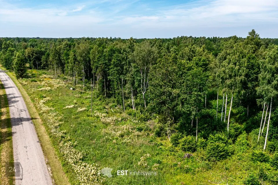 Maatulundusmaa, 10159 m² участок в Lääneranna vald, Rädi küla - фото 5