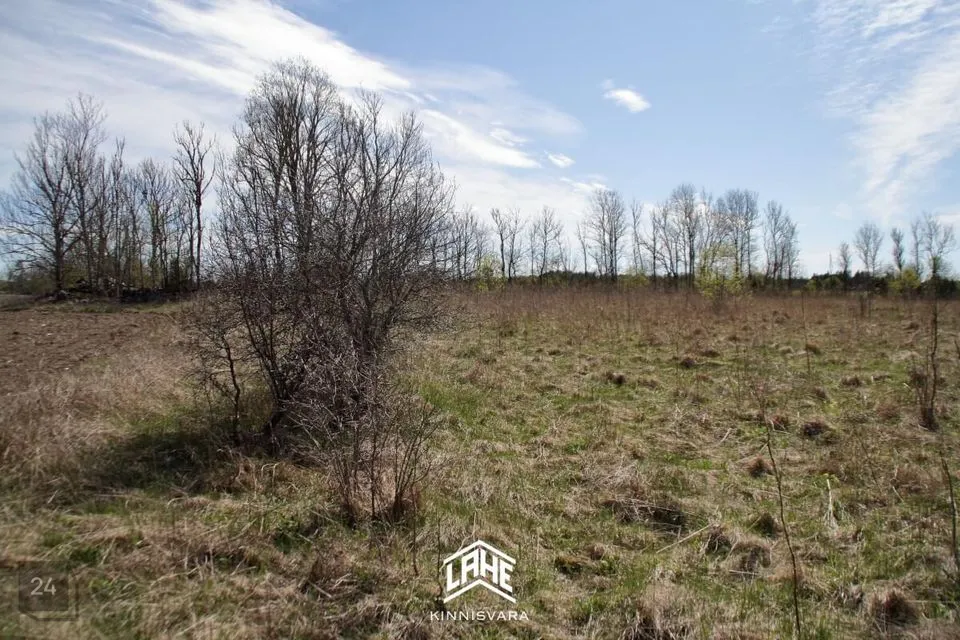 Elamumaa, 5536 m² Maa  -  Lääne-Nigula vald, Ingküla - foto 4