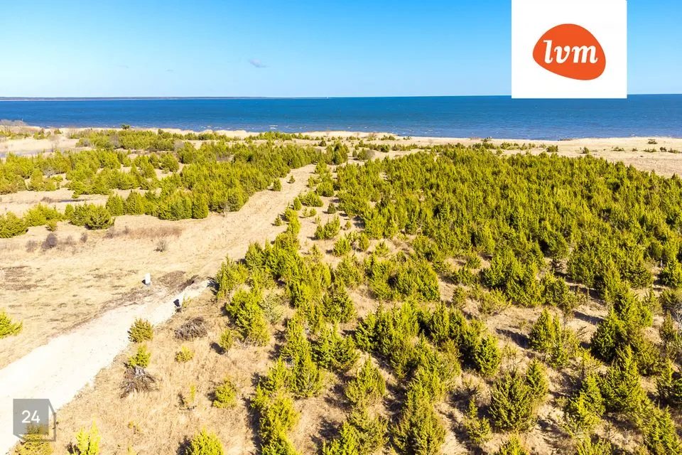 Земля жилой застройки, 7401 m² участок в Saaremaa vald, Suure-Rootsi küla - фото 2