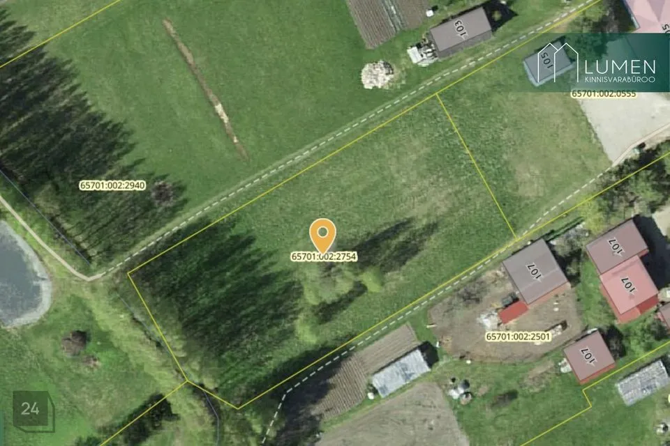 Maatulundusmaa, 2811 m² Maa  -  Mustvee vald, Kasepää küla - foto 2