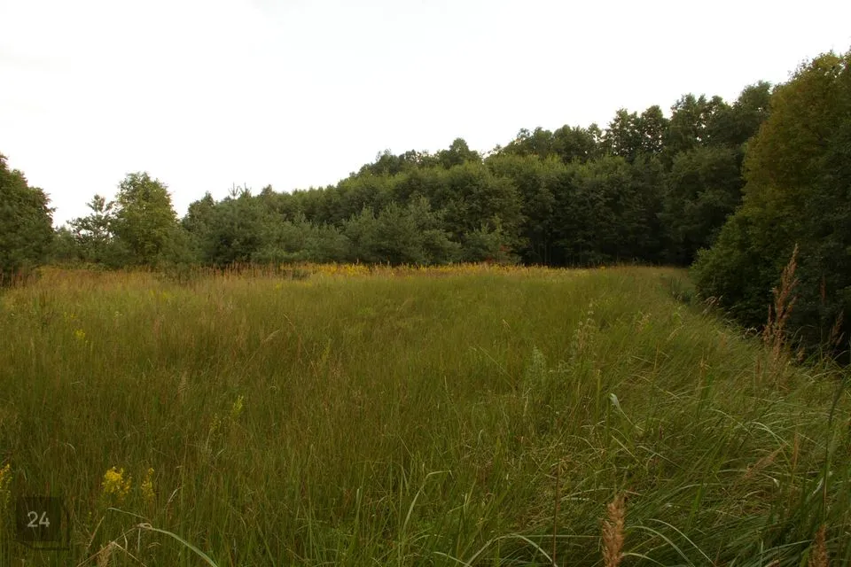 Maatulundusmaa, 16879 m² Maa - Pärnu linn, Lemmetsa küla - foto 3