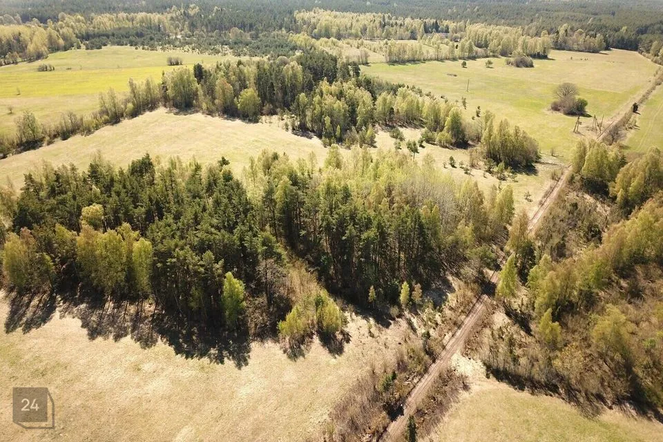 Maatulundusmaa, 17039 m² Maa  -  Muhu vald, Tupenurme küla - foto 4