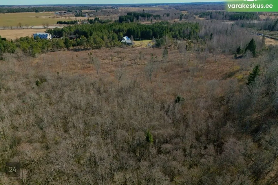 Maatulundusmaa, 22943 m² Maa  -  Saue vald, Jõgisoo küla - foto 3