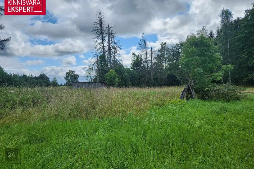 65 m² Maja - Põhja-Sakala vald, Soomevere küla - foto 4