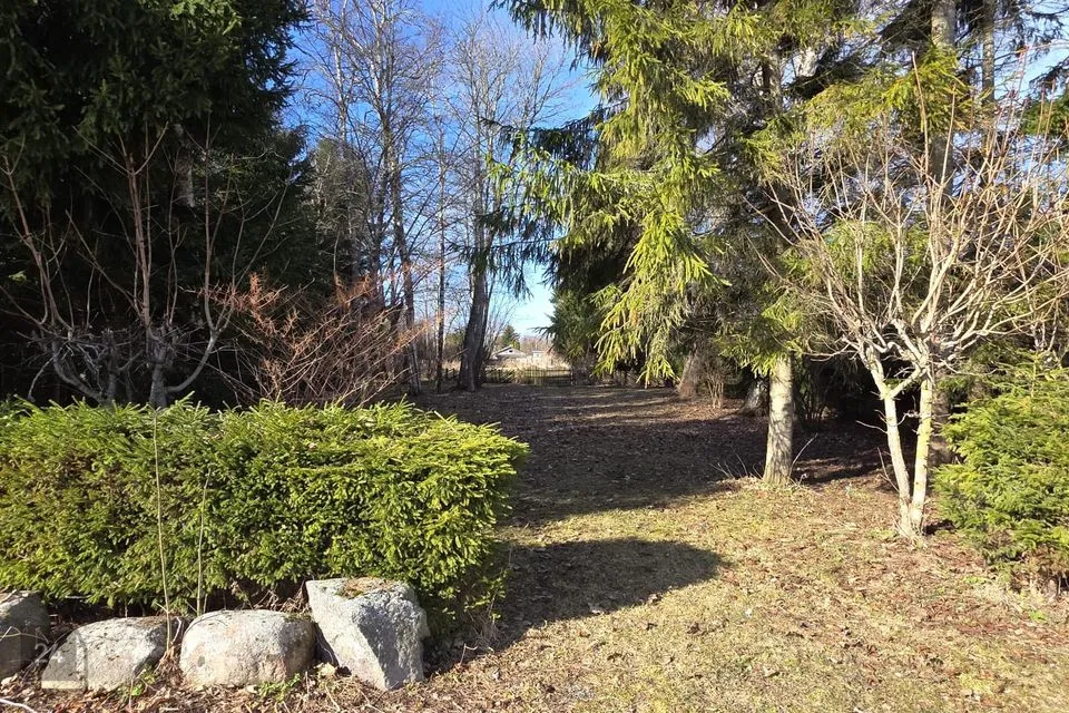Maatulundusmaa, 2981 m² участок в Saaremaa vald, Salme alevik - фото 3