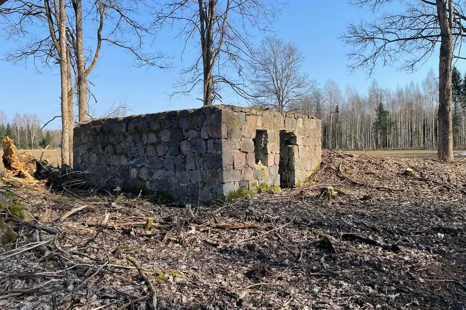 Maatulundusmaa, 14005 m² участок в Põhja-Sakala vald, Tällevere küla