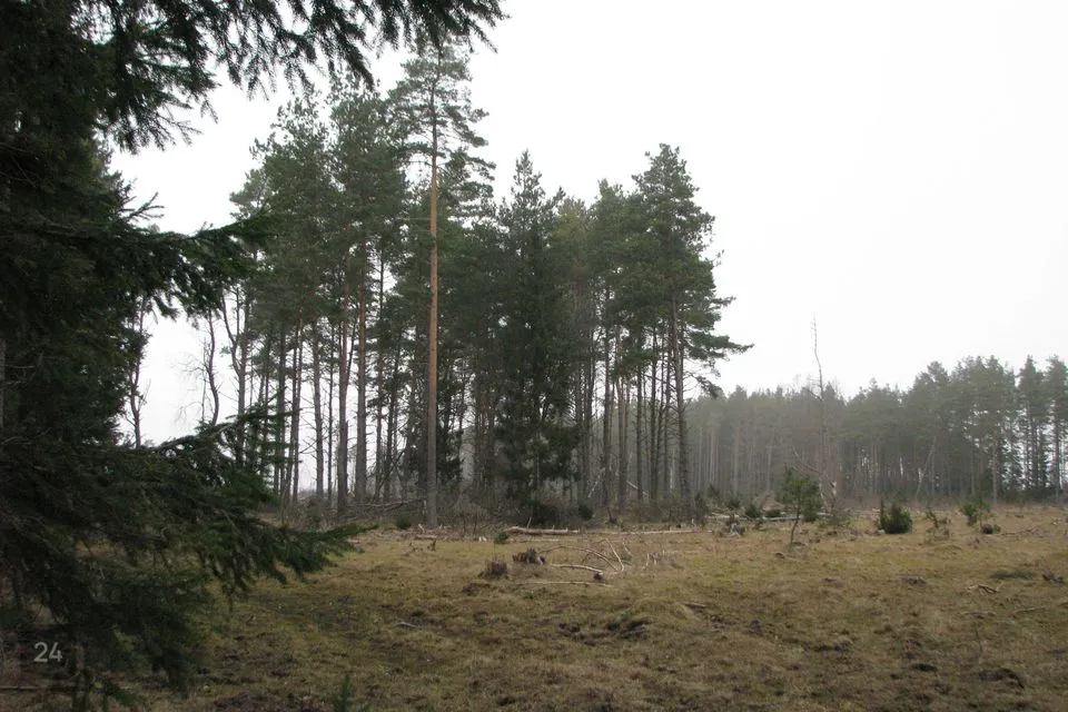 Land under protection or Residential land, 75360 m² land in Hiiumaa vald, Esiküla - photo 3