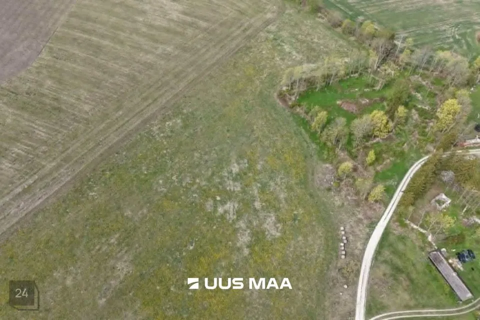 Maatulundusmaa, 29551 m² Maa  -  Saaremaa vald, Kapra küla - foto 3