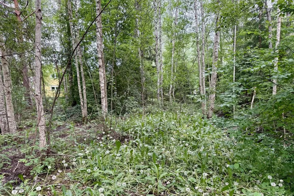 Земля жилой застройки, 1701 m² участок в Saue vald, Kibuna küla