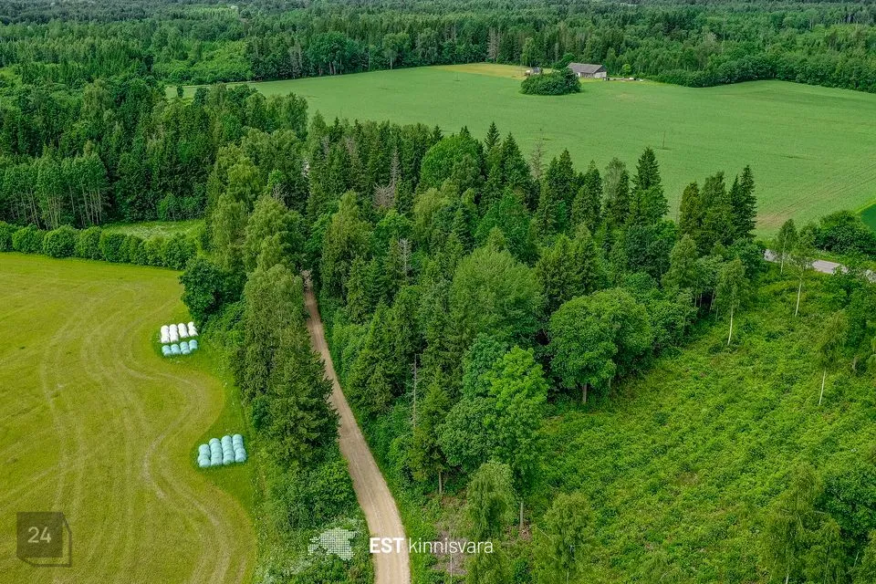 Maatulundusmaa, 9112 m² Maa - Kehtna vald, Pae küla - foto 4