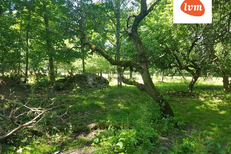 Elamumaa, 17633 m² Maa  -  Saaremaa vald, Vedruka - foto 3