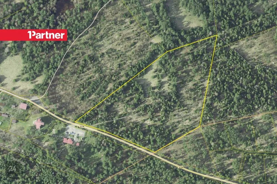 Maatulundusmaa, 42593 m² Maa  -  Hiiumaa vald, Mägipe küla - foto 4