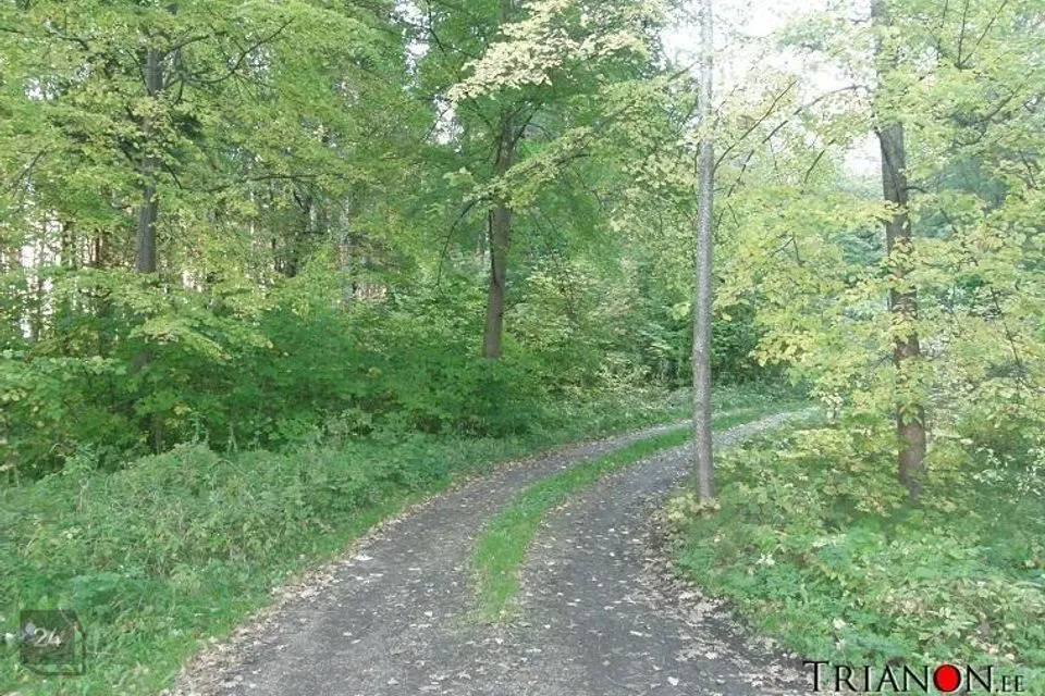 5712 m² land in Narva-Jõesuu linn, Narva-Jõesuu linn - photo 3