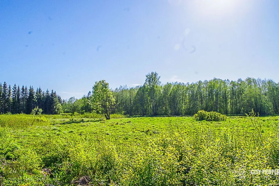 Maatulundusmaa, 18613 m² Maa - Raasiku vald, Kiviloo küla - foto 5