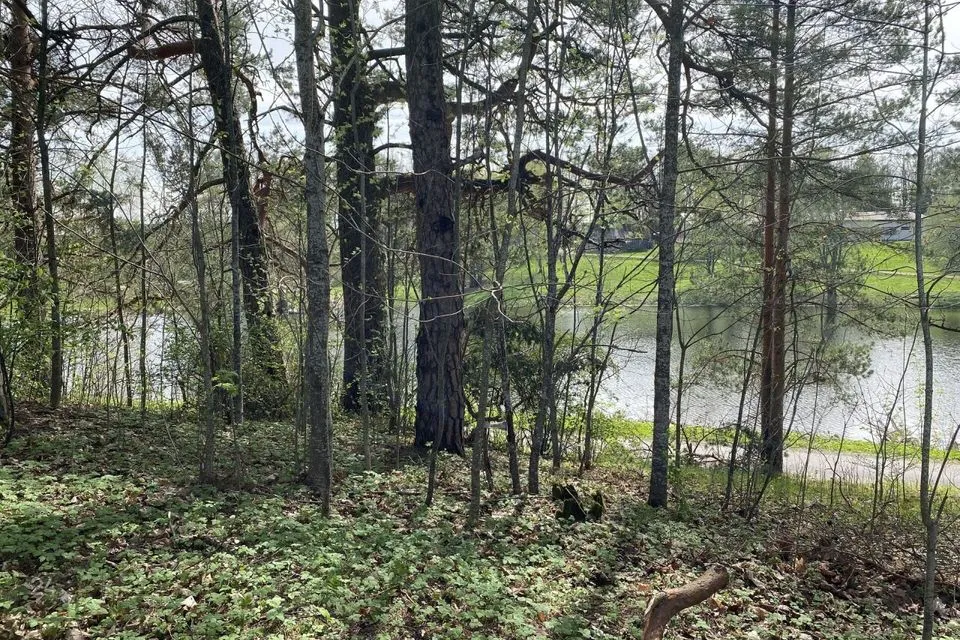 Elamumaa, 4100 m² Maa - Kanepi vald, Krootuse küla