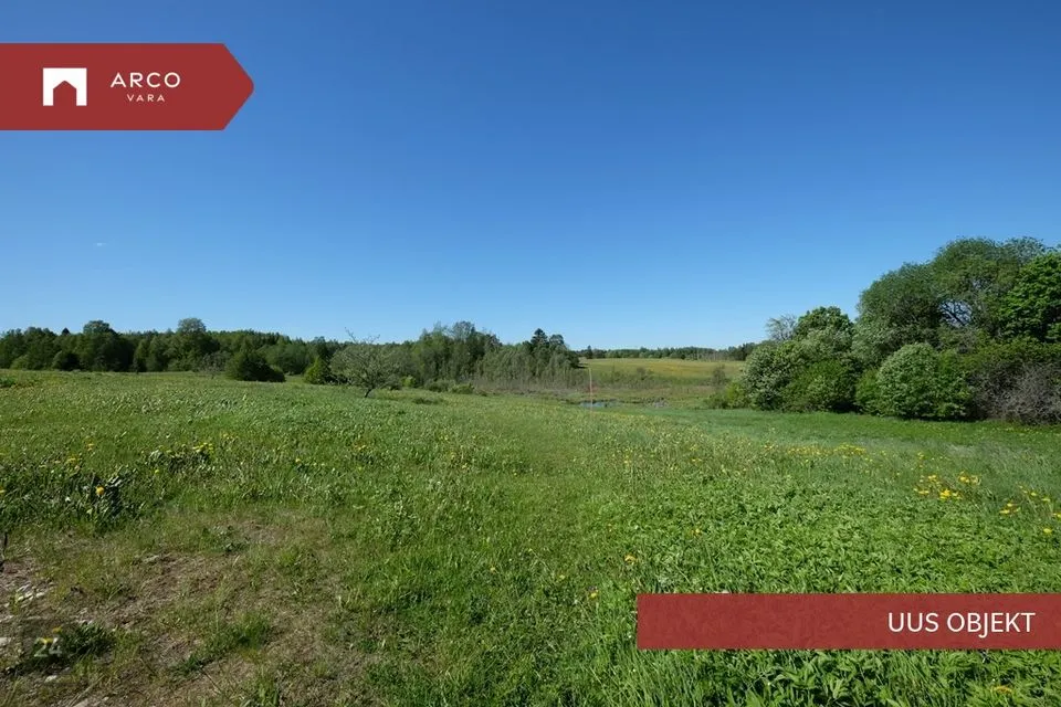 Земля жилой застройки, 5030 m² участок в Viljandi vald, Holstre küla - фото 4