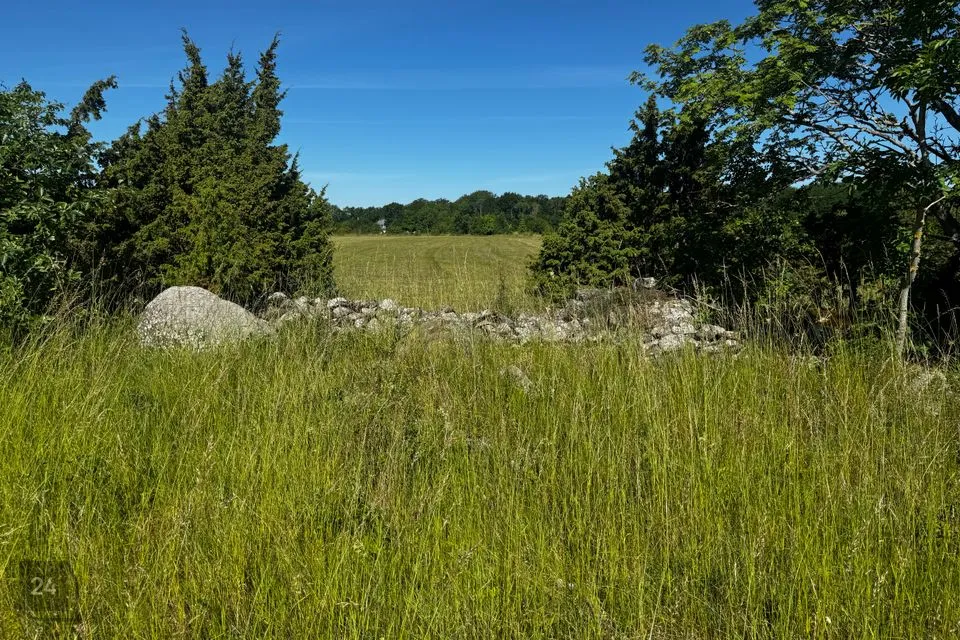 Elamumaa, 10522 m² Maa - Saaremaa vald, Suure-Rootsi küla - foto 3