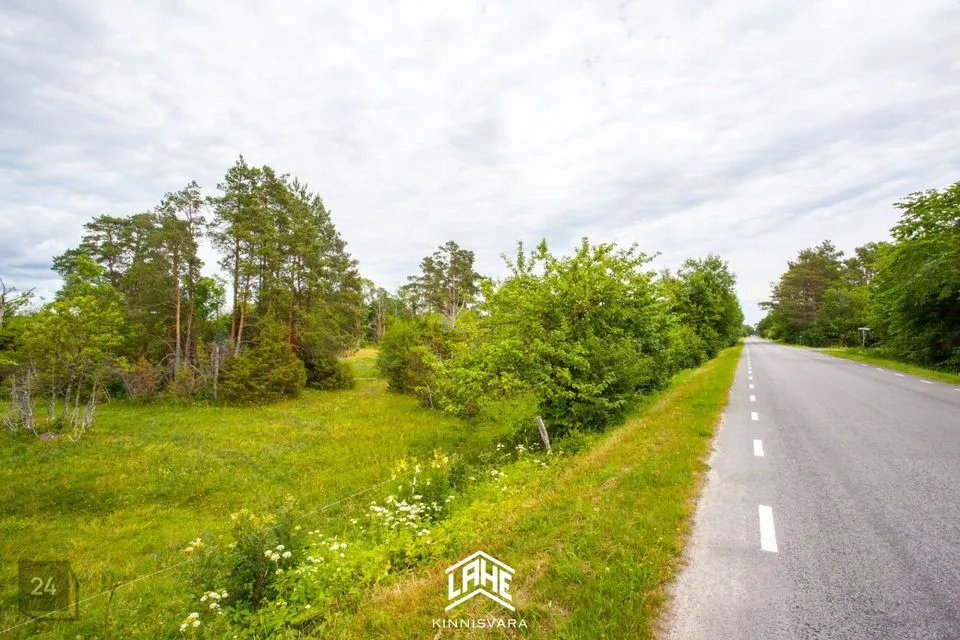 Maatulundusmaa, 16091 m² Maa  -  Saaremaa vald, Kaarma küla - foto 3